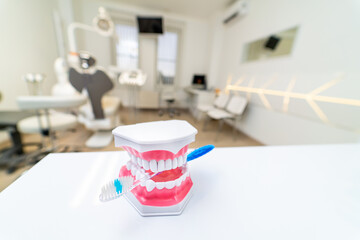 Brush model teeth in a clinic. A dental model of teeth is placed next to a toothbrush in a bright and modern dental clinic's treatment area.