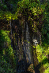 Playa de Castro, tall palm trees, banana trees, black volcanic sand, landscape of the coast of Tenerife,
