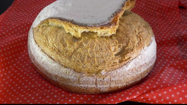Closeup slow tilt shot of a freshly baked uncut loaf of crusty white sourdough bread from an artisan bakery.