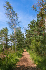 Hiking Trail Along The Heathland