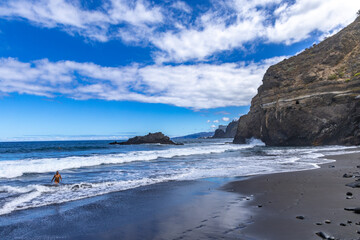 Playa de Castro, tall palm trees, banana trees, black volcanic sand, landscape of the coast of Tenerife,