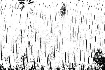 White black wood texture vector trace. Old wood texture flat surface. Real wooden surface background bark. Top view plank.
