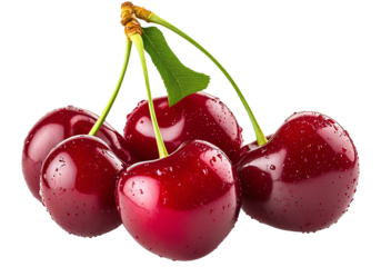 Delicious cherry fruit transparent and white background. PNG