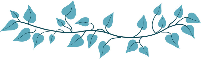 ivy plant drawing illustration.