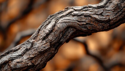 A close-up of a rugged, textured tree branch covered in moss, blending into a backdrop of earthy browns and deep greens, showcasing nature's raw beauty.