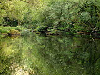 Mandeo River, Betanzos, La Coruña, Galicia, Spain