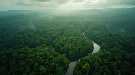 Fototapeta premium Aerial View of the Majestic Amazon Rainforest: Dense Greenery, Winding Rivers, and Pristine Wilderness