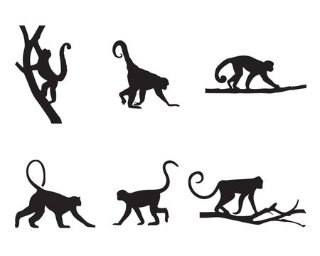 Set of monkey silhouette designs
