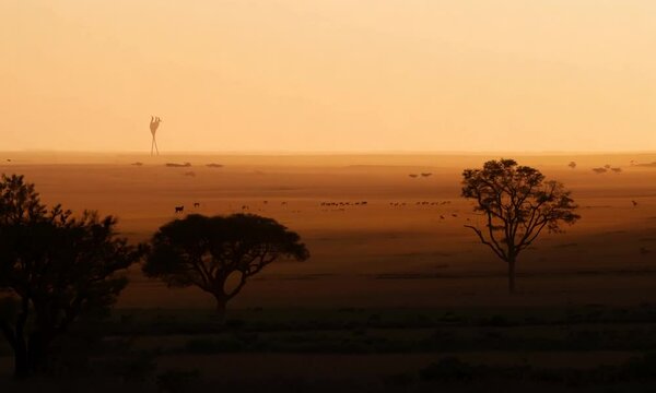 sunset in africa sabana