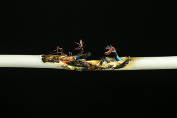 Exposed and burnt electrical wire