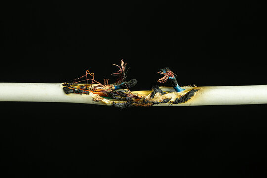 Exposed and burnt electrical wire