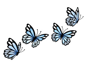 Obraz premium set of butterflies blue butterfly 