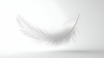 Obraz premium 3D Floating White Feather Icon: Close-Up of Graceful Feather Ascending, Symbolizing Lightness of Being on Isolated White Background