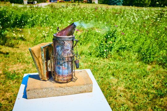 Rustic Beekeeping Smoker in Lush Field Eye-Level View