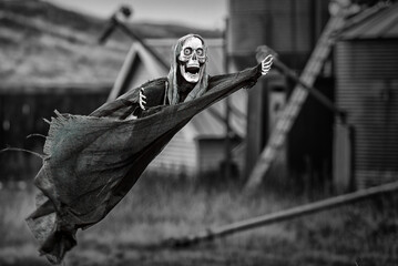 Farm Halloween Decoration