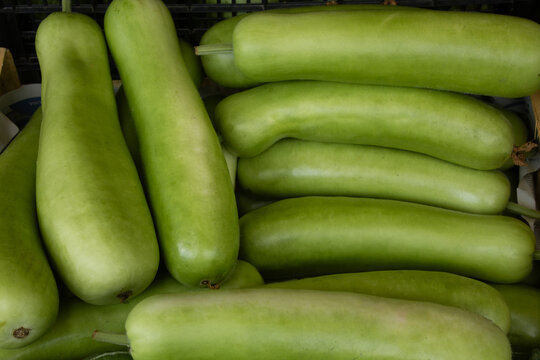 Close-up of fresh bottle gourds displayed at a vegetable market. Pale green calabash squash arranged in a produce stall, suitable for healthy food, agriculture, and fresh vegetable concepts.