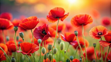 Obraz premium Vibrant collection of red poppy flowers, nature, bright, bloom, petals, field, spring, poppies, red, vibrant, garden, beauty