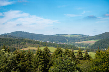 Landscape, green meadow, pasture and forest, countryside Germany, farmland in summer, Moselle valley, Rhineland Palatinate