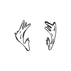 Graphic deer antlers. Hand draws graphic illustrations on a white background. Deer antlers for design