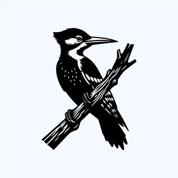 recommend clip art: Woodpecker Bird Silhouette Vector Illustration Design