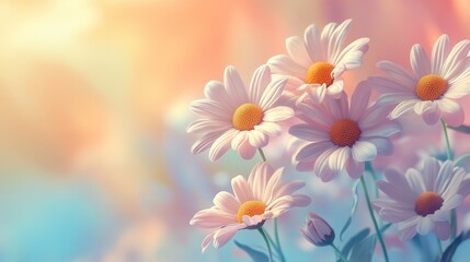 Fototapeta premium Delicate White Daisies with Yellow Centers Against a Soft, Pastel Background