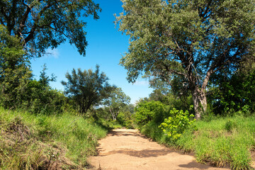 Parc national Kruger, Afrique du Sud