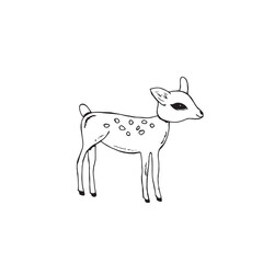 Graphic deer. Hand draws graphic illustrations on a white background. Graphic deer for design