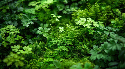 Obraz premium Lush green foliage fills frame, showcasing variety of vibrant plants and ferns. rich textures and shades of green create serene and refreshing atmosphere