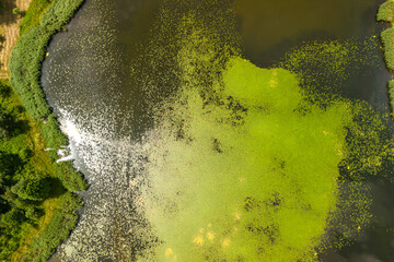 Aerial view of a serene pond with lush green vegetation and a mix of dark waters. Perfect for nature and environmental themes.