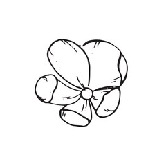 Pear theme in graphics. Hand draws graphic illustrations on a white background. Pear theme for design