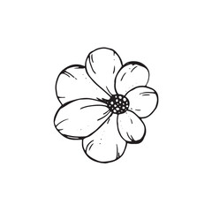  Graphic flowers. Hand draws graphic illustrations on a white background. Graphic flowers for design