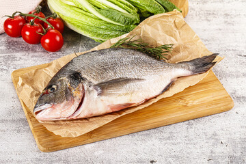Raw dorada fish served rosemary