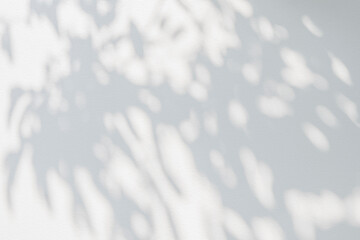 Abstract leaf shadow and light blurred background. Natural leaves tree branch shadows and sunlight...