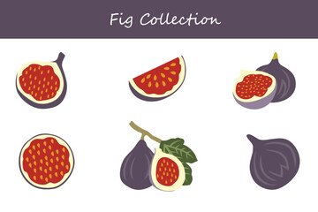 fig collection in different poses. Vector illustration.