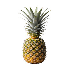 Fototapeta premium Pineapple. Transparent PNG