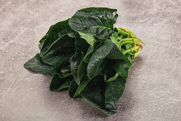 Ripe green spinach leaves heap