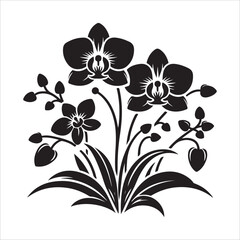 Orchid flower vector art illlustration
