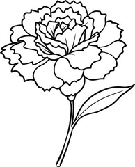 Carnation flower logo icon line art vector illustration with a clean and artistic garden motif