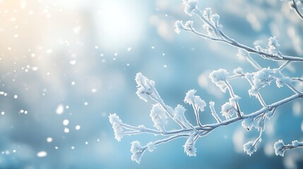 Frosted Red Berries in a Winter Wonderland: A Serene Close-Up Capturing Nature's Icy Beauty winter