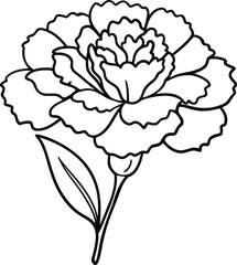 Carnation flower logo icon line art vector illustration featuring a classic and elegant floral badge