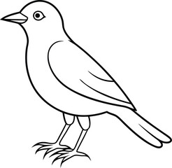 Beautiful bird logo icon line art vector illustration with detailed beak and wing designs