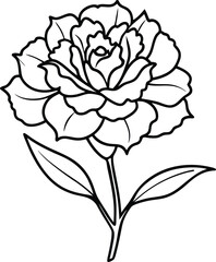 Carnation flower logo icon line art vector illustration with a beautiful and detailed petal design