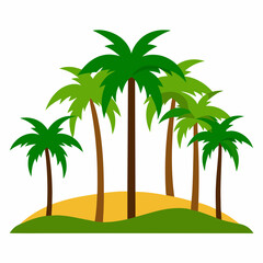 palm trees on the beach