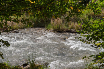 the flow of a mountain river on a sunny day