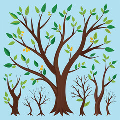 Obraz premium tree with leaves