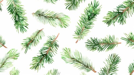 Christmas tree branches on a white background