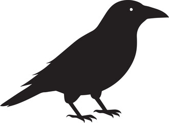 crow silhouette vector illustration.