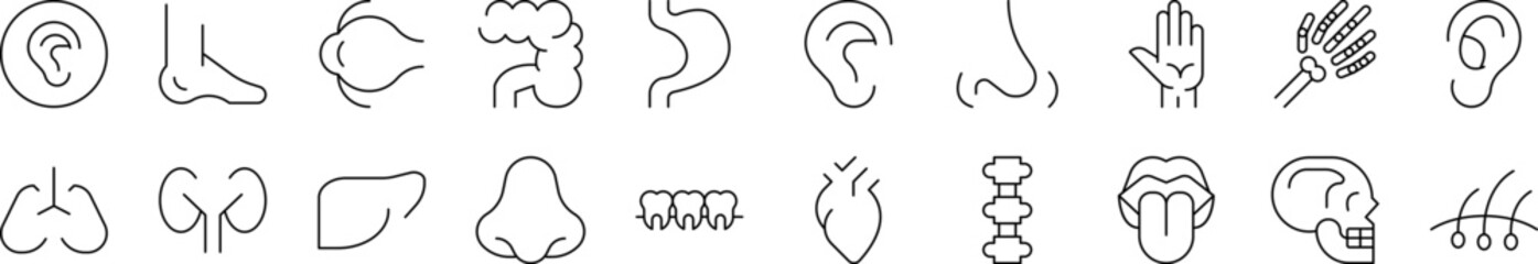 Internal Organs Related Icon Set. Editable Stroke. Suitable for Web Sites, Books, Cards, Apps