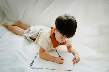 3 years old asian boy is drawing a picture of his cat in living room