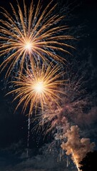 Fireworks exploding in the sky at a festive event.